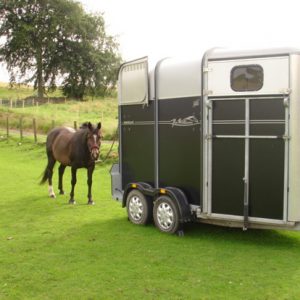 horse-box-trailer