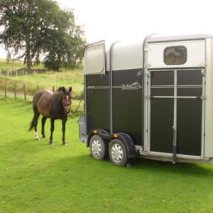 horse-box-trailer