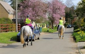 hazard perception - Horse riders