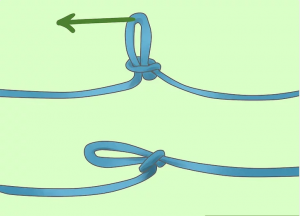 The Trucker's Hitch : Know your knots - Specialised HGV